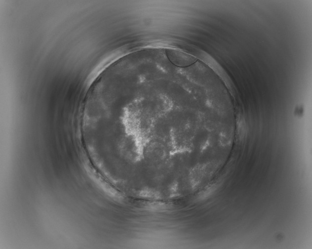 X0000112831002200909181645