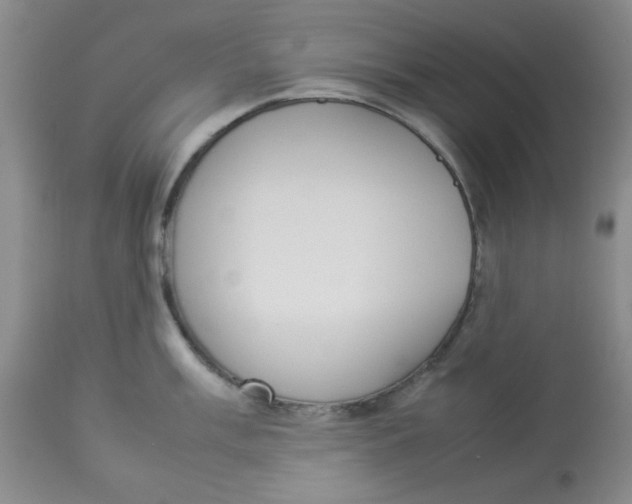 X0000112831003200909181645