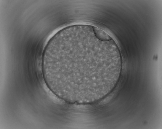 X0000112831004200909181645