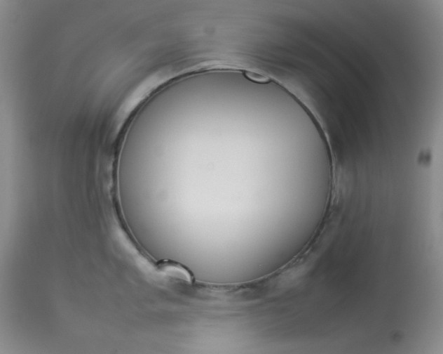 X0000112831005200909181645