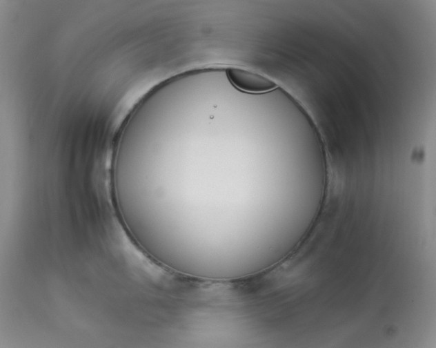 X0000112831006200909181645