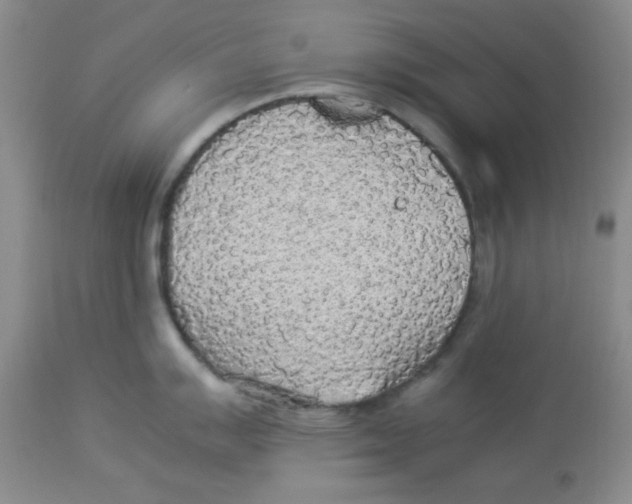 X0000112831007200909181645