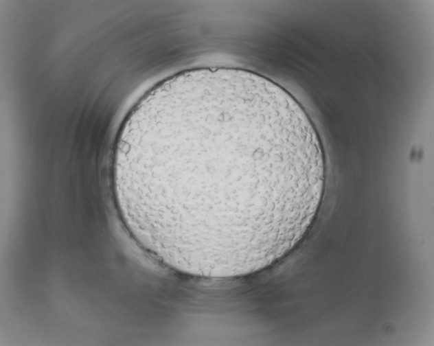 X0000112831008200909181645