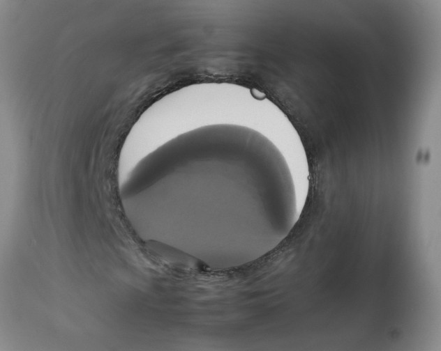 X0000112831009200909181644