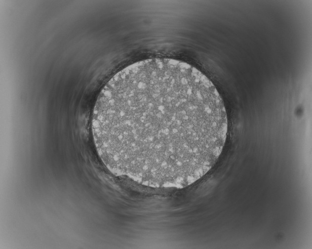 X0000112831010200909181644