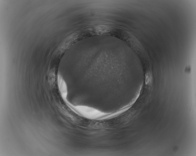 X0000112831011200909181644