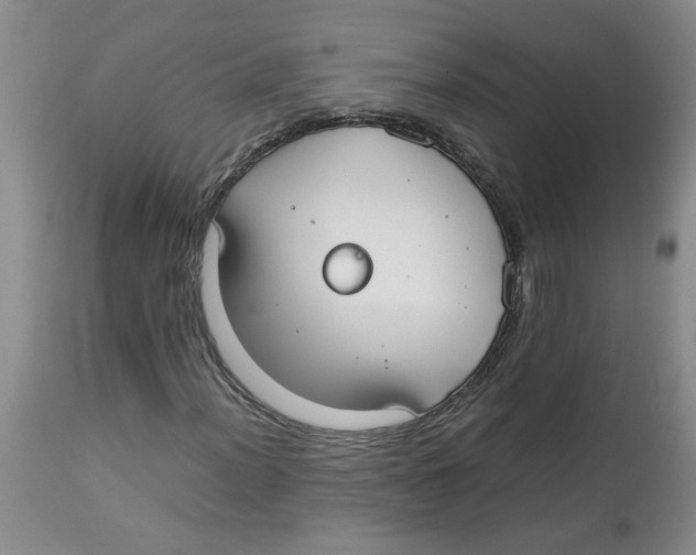 X0000112831012200909181644