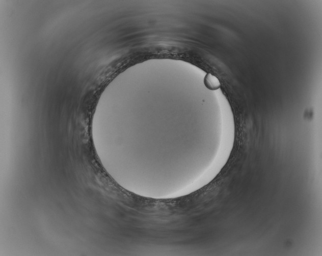 X0000112831013200909181644