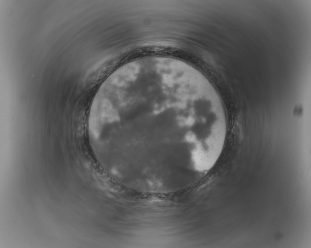 X0000112831014200909181644