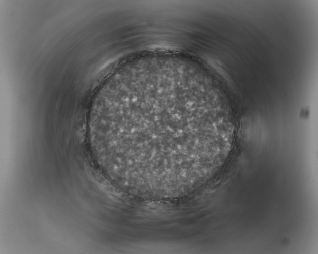 X0000112831015200909181645