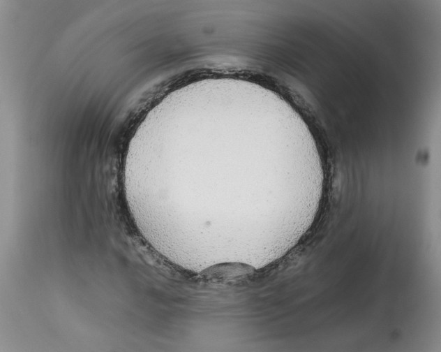 X0000112831016200909181645