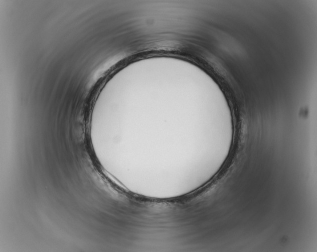 X0000112831018200909181645