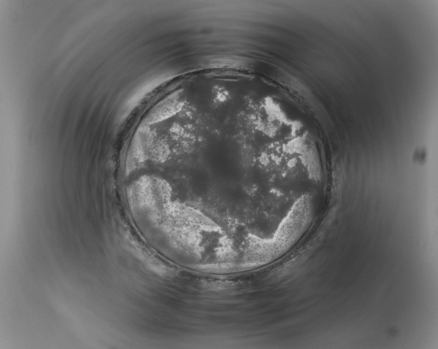 X0000112831019200909181645