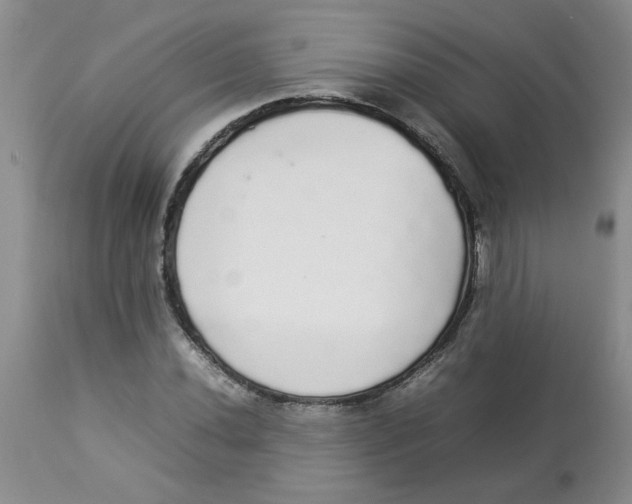 X0000112831020200909181645