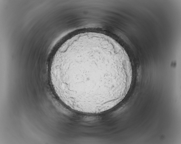 X0000112831021200909181645