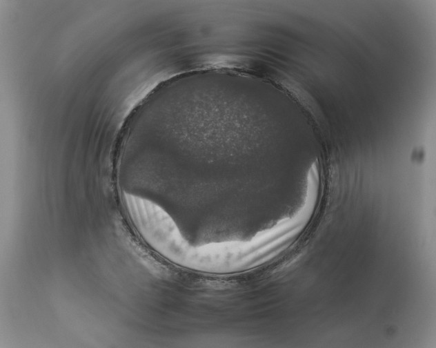 X0000112831023200909181645