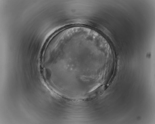 X0000112831024200909181645