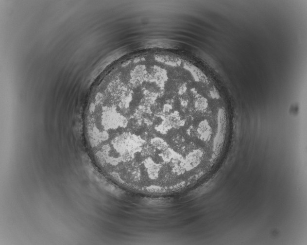 X0000112831025200909181645