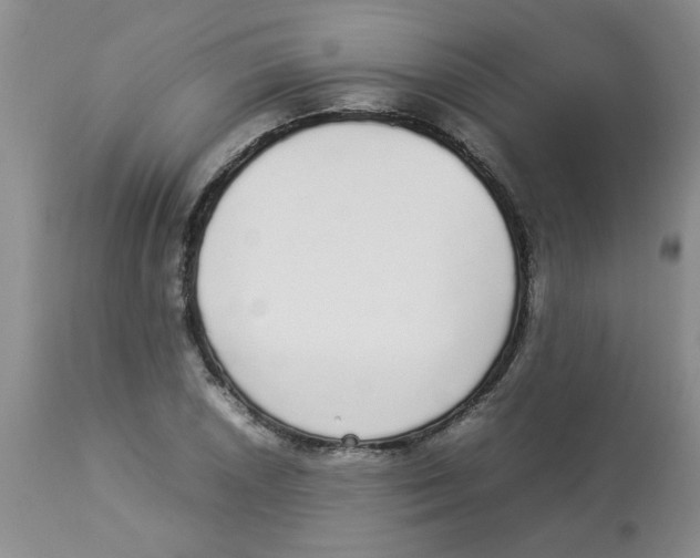 X0000112831026200909181645