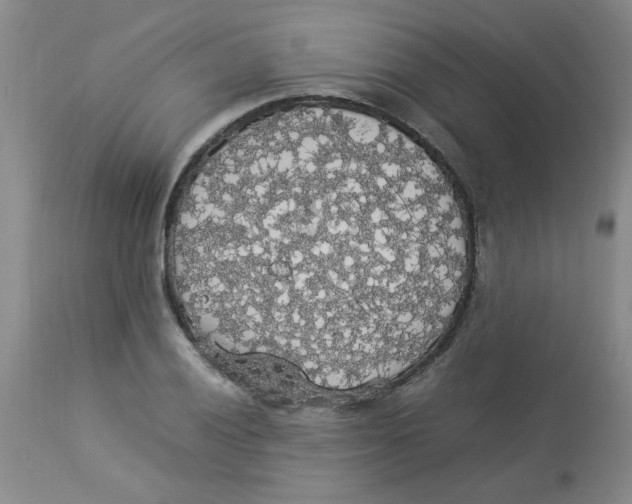 X0000112831028200909181645