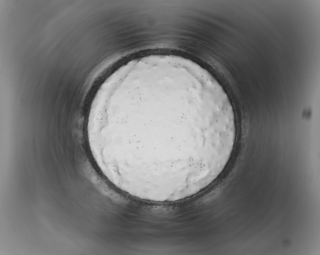 X0000112831029200909181645