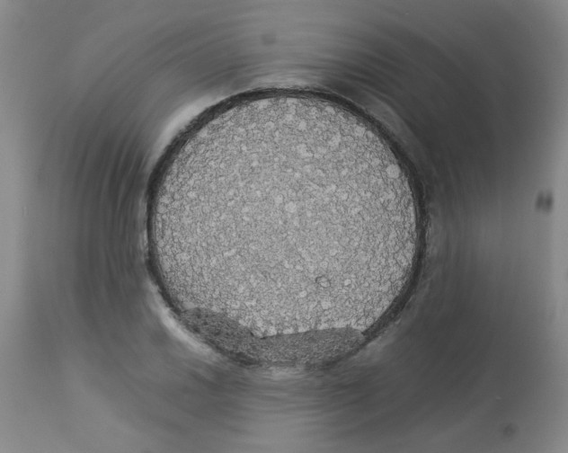 X0000112831030200909181645