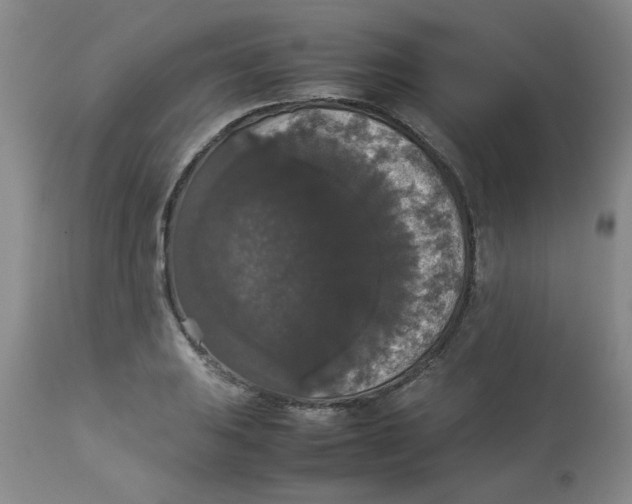 X0000112831031200909181645