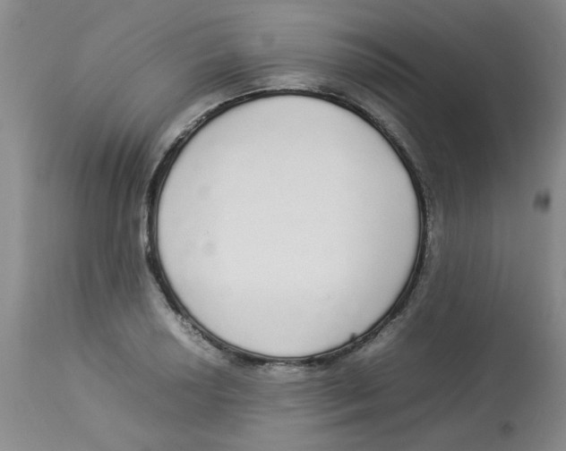 X0000112831034200909181645