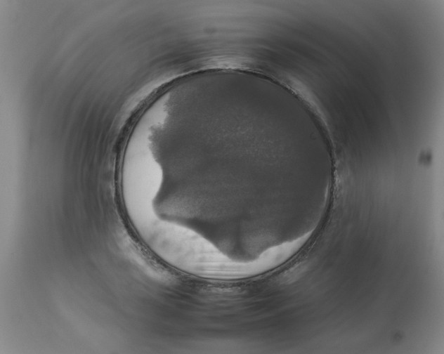 X0000112831035200909181645