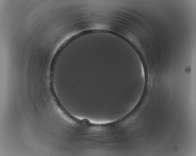 X0000112831037200909181645