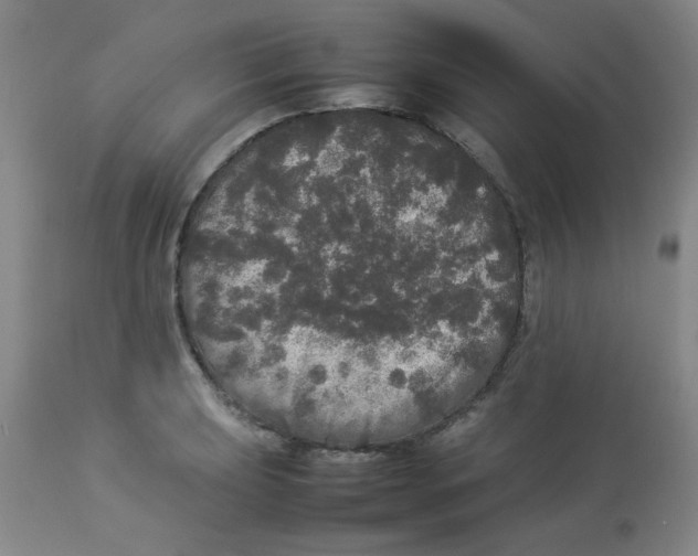 X0000112831039200909181645