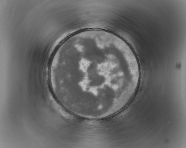 X0000112831040200909181645