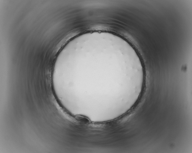 X0000112831041200909181645