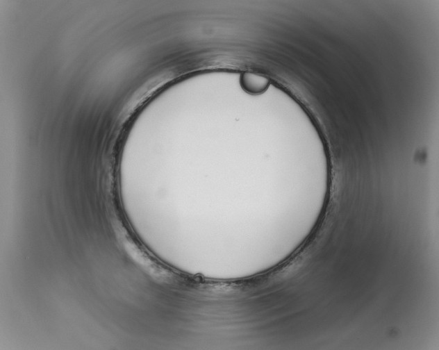 X0000112831042200909181645