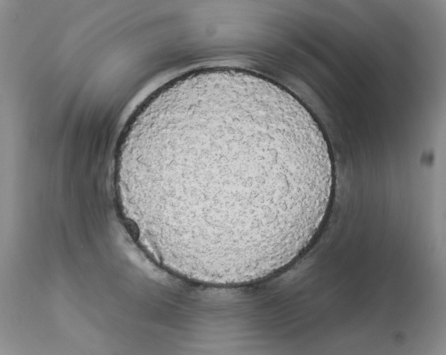 X0000112831044200909181645