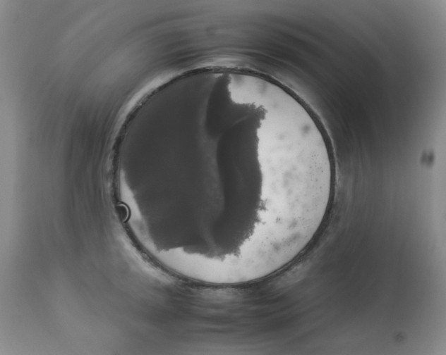 X0000112831045200909181645