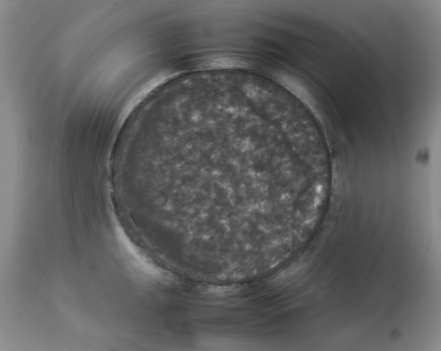 X0000112831047200909181645