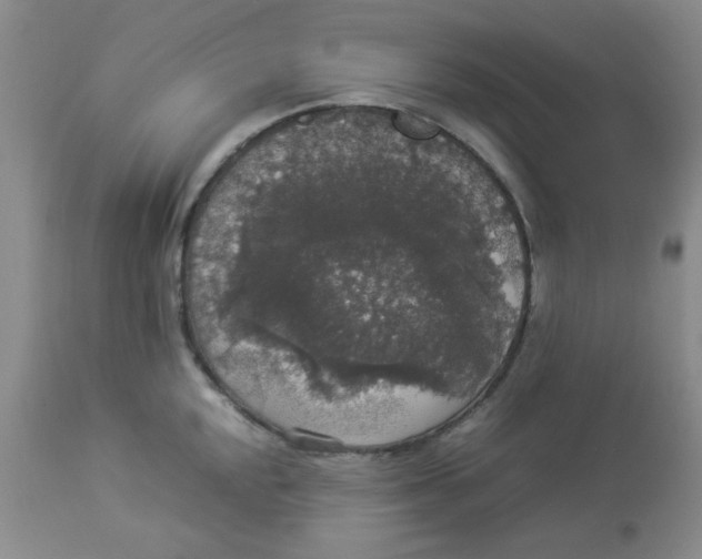 X0000112831048200909181645