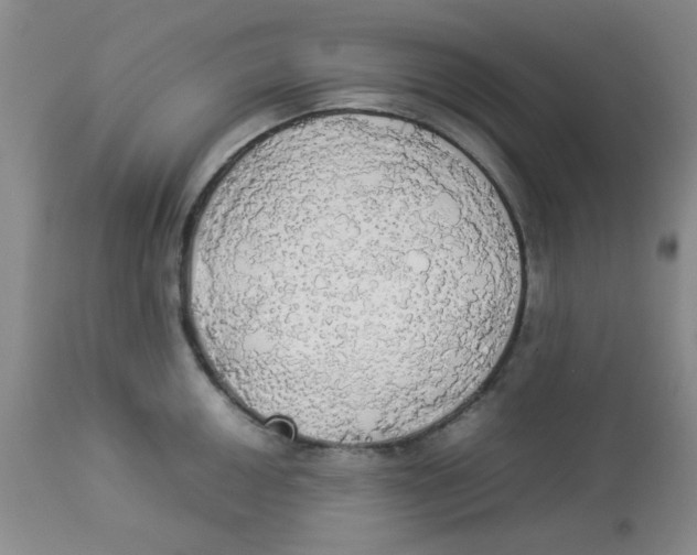 X0000112831050200909181645