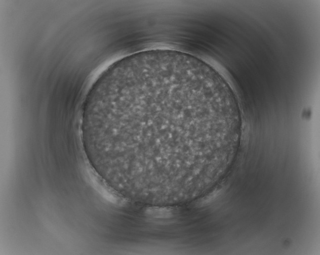 X0000112831051200909181645