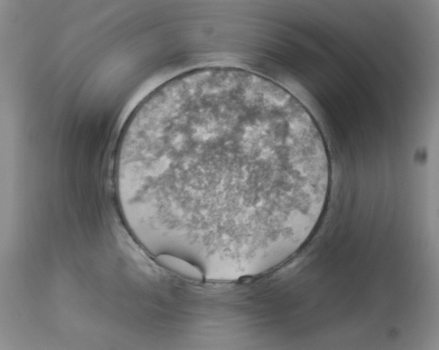 X0000112831052200909181645