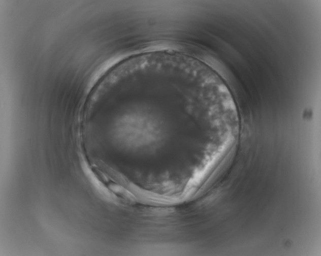 X0000112831055200909181645