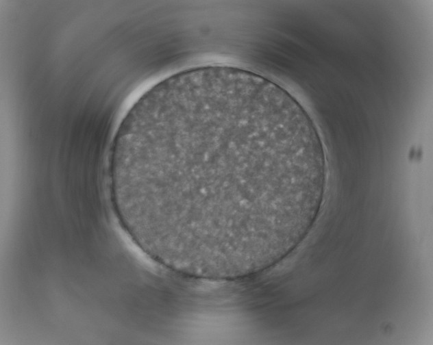 X0000112831056200909181645