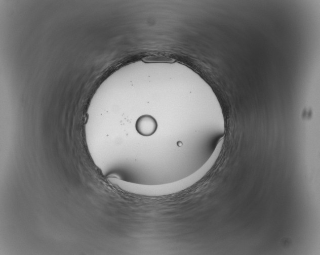 X0000112831057200909181644