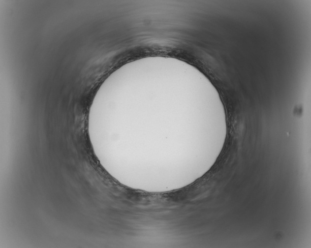 X0000112831061200909181644