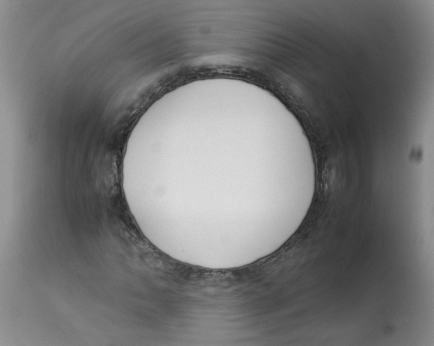 X0000112831062200909181644