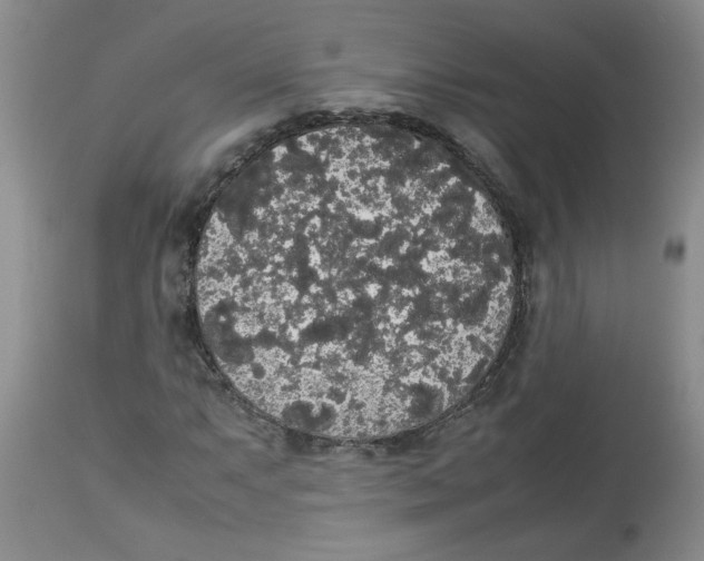 X0000112831063200909181644