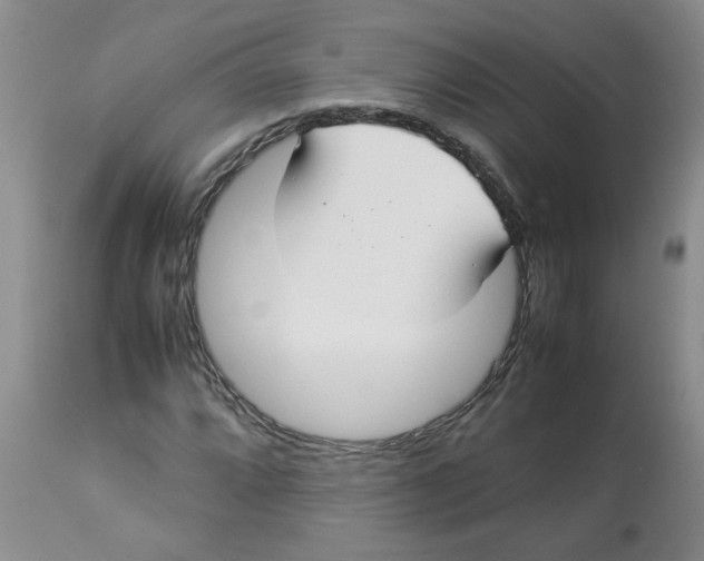 X0000112831064200909181644