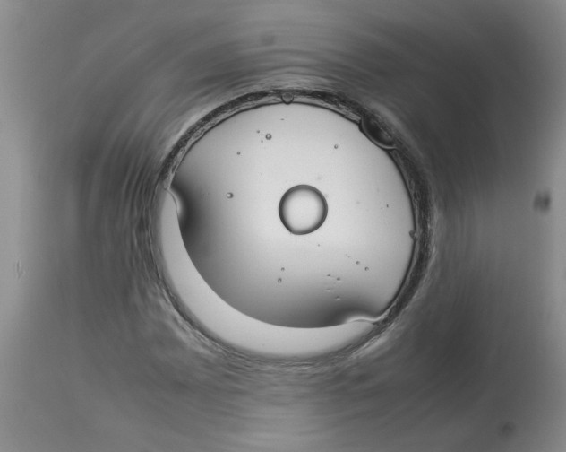 X0000112831065200909181644