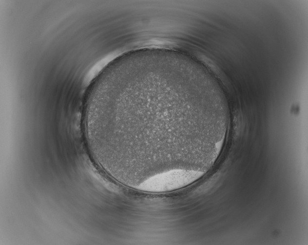 X0000112831066200909181644